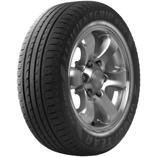 245/55R19 EFFICIENTGRIP PEFORM SUV 103 V