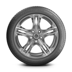 295/30 ZR18 XL PILOT SPORT CUP 2 CONNECT